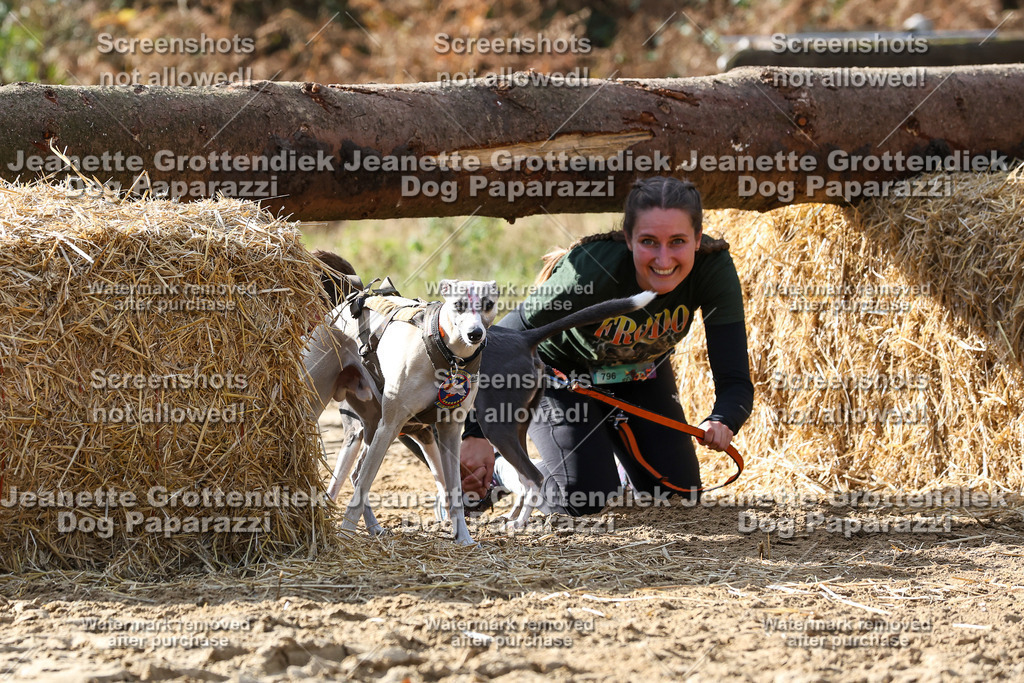 Dog Paparazzi - Strongdog 10-25-5768 | Dog Paparazzi Jeanette Grottendiek Fotografie & Videografie - Realisiert mit Pictrs.com