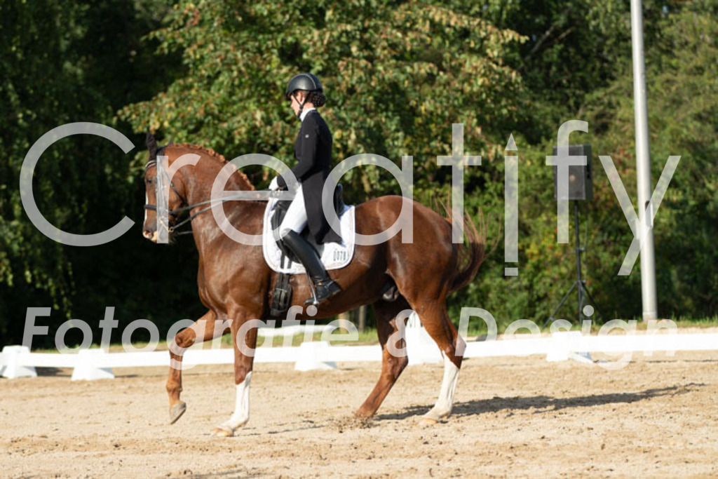 IMG_4911 | Creatify Fotografie