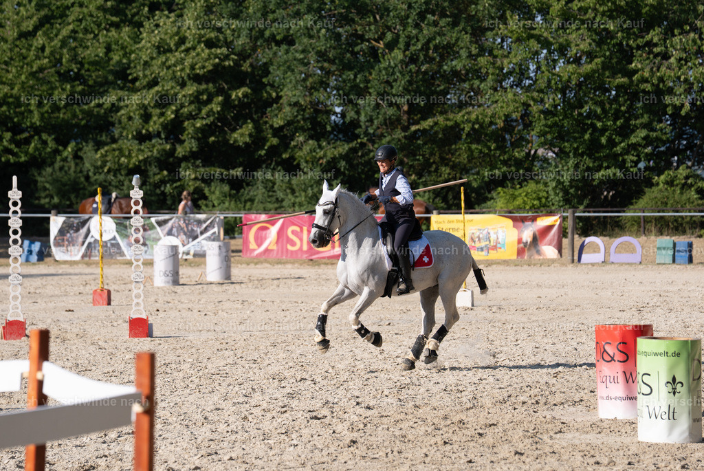 WS_SP_57_SinaFilmArt_IN09515 | working equitationturnier fotograf videograf stoibphotography marixx film working equitation deutschland reitsport turnierfotografie eventfotografie equestrian events