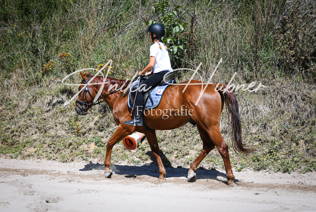 DSC_0829 | anikahuebner - Realisiert mit Pictrs.com