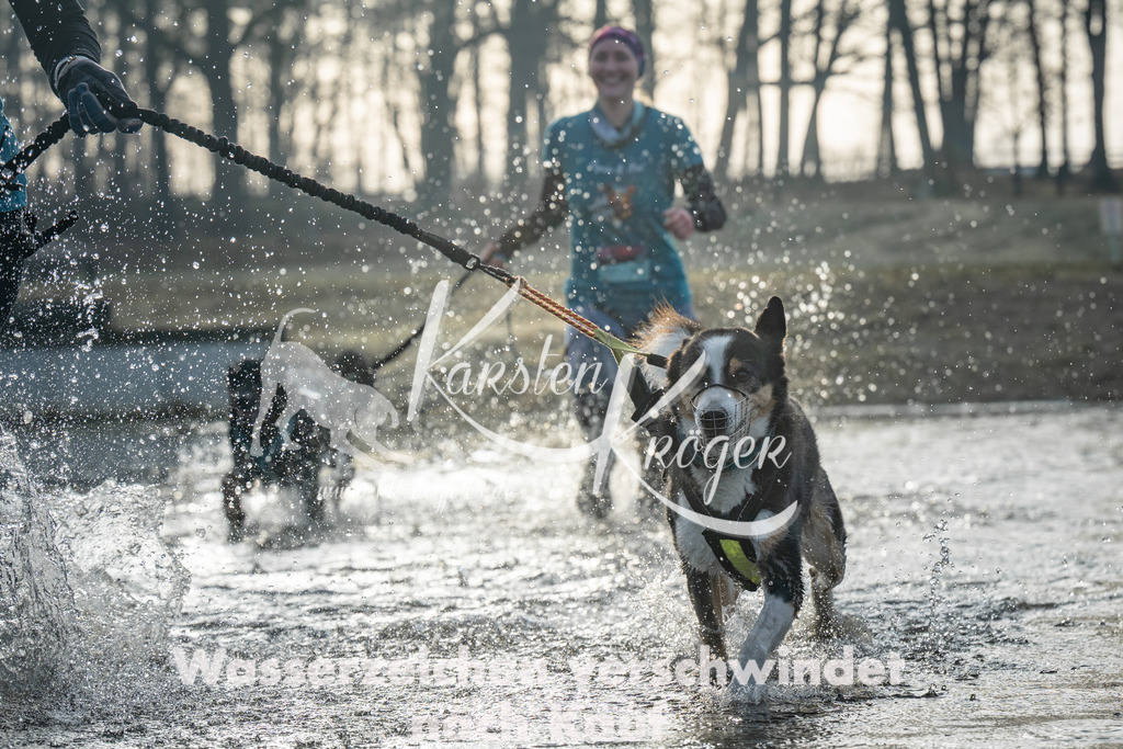 0827_ZZ97243 | kk-dogfotos