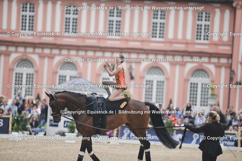 20240519_Voltige_0375 | Foto: Thomas Hartig