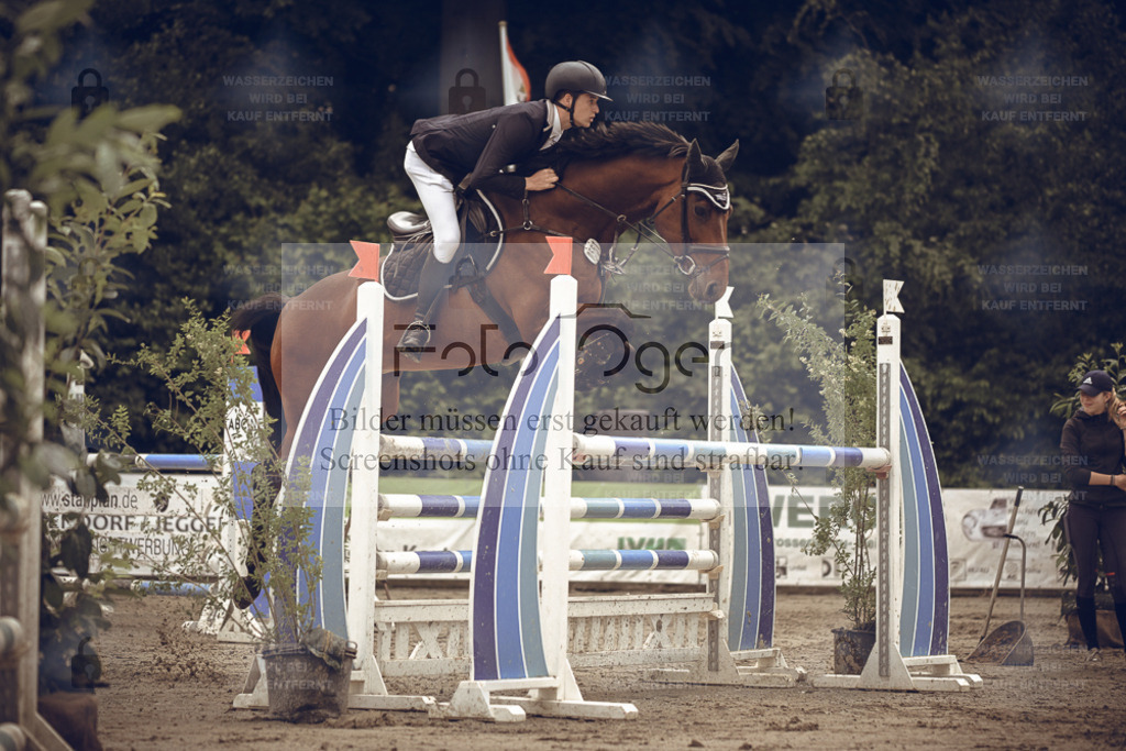 20240530-DOS_2267 | Entdecke hochwertige Reitturnierfotos von Foto Oger. Professionell, emotional und authentisch – jetzt Lieblingsmomente im Shop bestellen. - Realisiert mit Pictrs.com