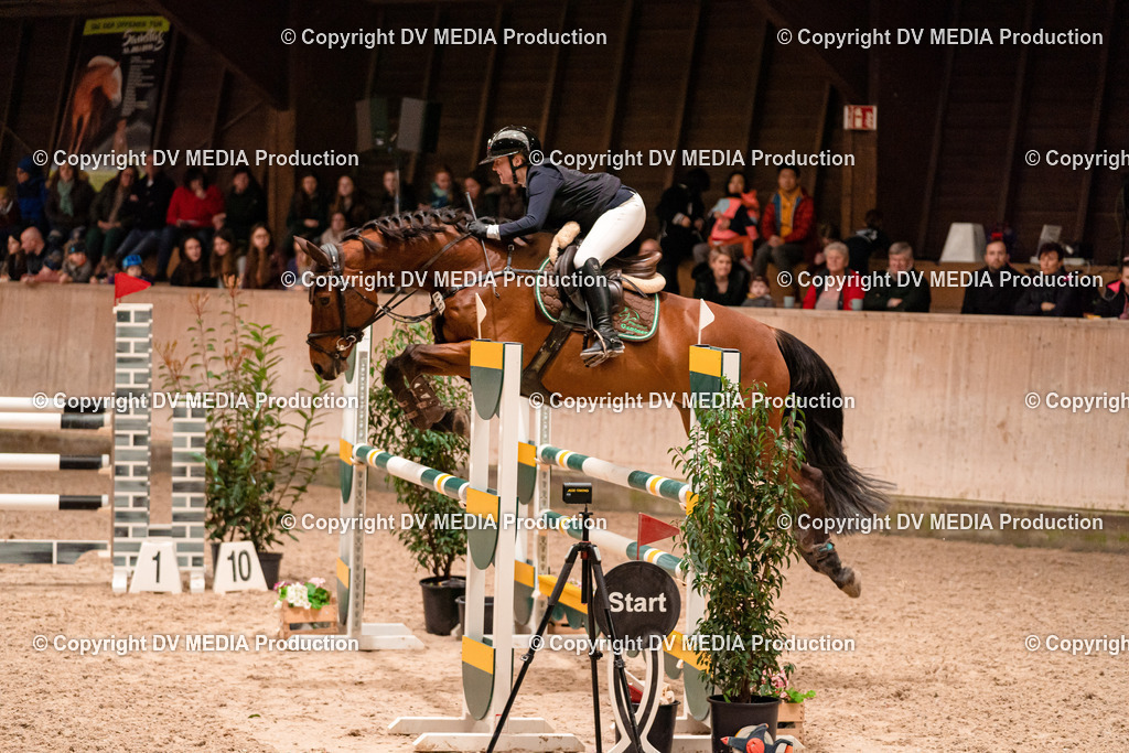 Springen Tag 2-610 | dv-media-shop - Realisiert mit Pictrs.com