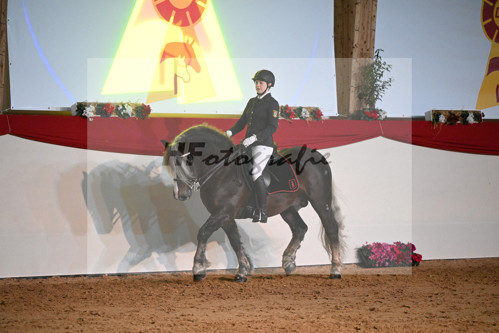 Kaltblutquadrille_1234569 | hf-fotografie - Realisiert mit Pictrs.com