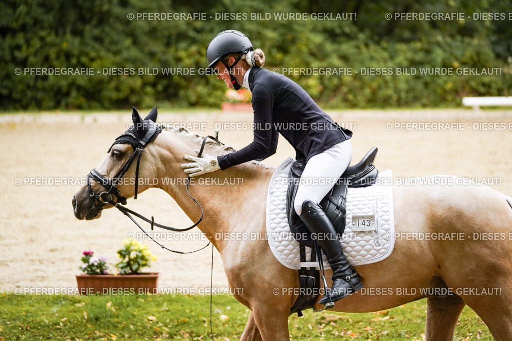 DSC08774 | Pferdegrafie