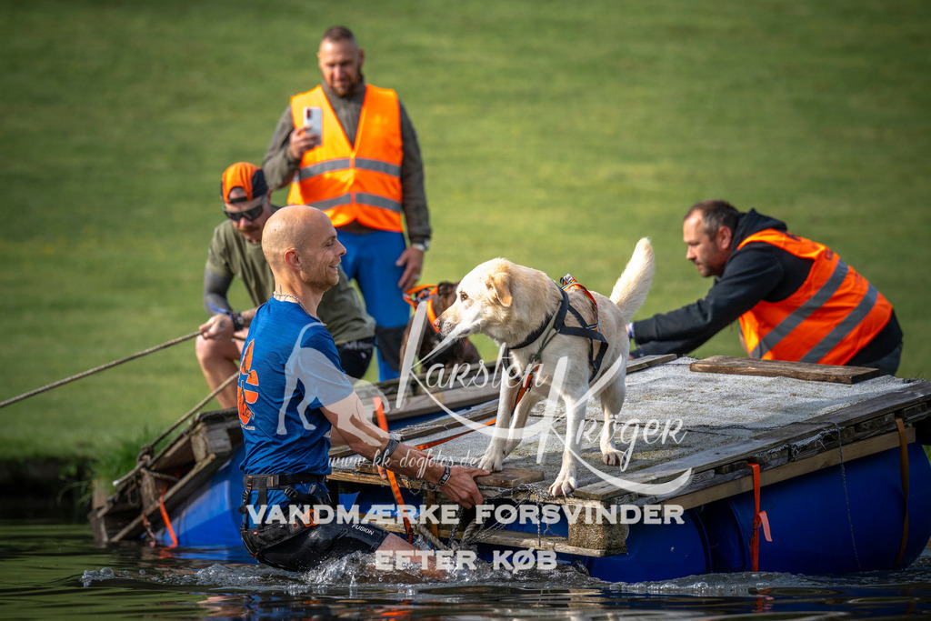 _ZZ933220704 | kk-dogfotos