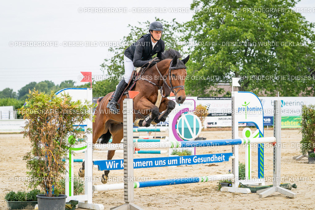 DSC09454 | Pferdegrafie