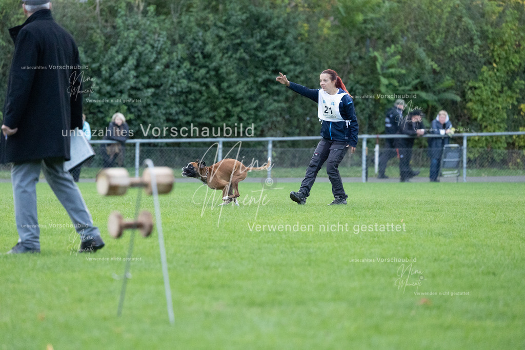 _16A4717 | Einzigartige Fotos von Hunden & Menschen –Actionfotos, Portraits, Vereinsaufnahmen & Paarshootings – authentisch, lebendig & mit Herz.