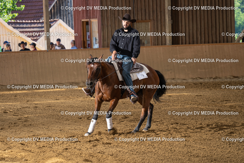 DSC00133 | dv-media-shop - Realisiert mit Pictrs.com