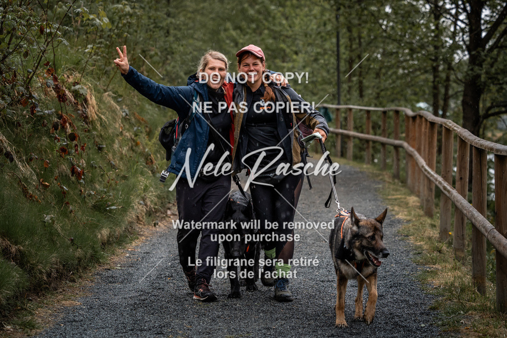 nelerasche_SaAbends_319 | nelerasche