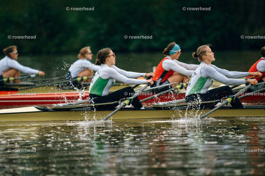 20241012_rowerhead_R01H_S0007_DSC00194 | rowerhead - Realisiert mit Pictrs.com