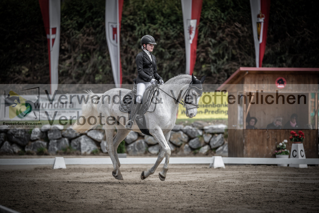 DSC_9748 | equestrian-live-com