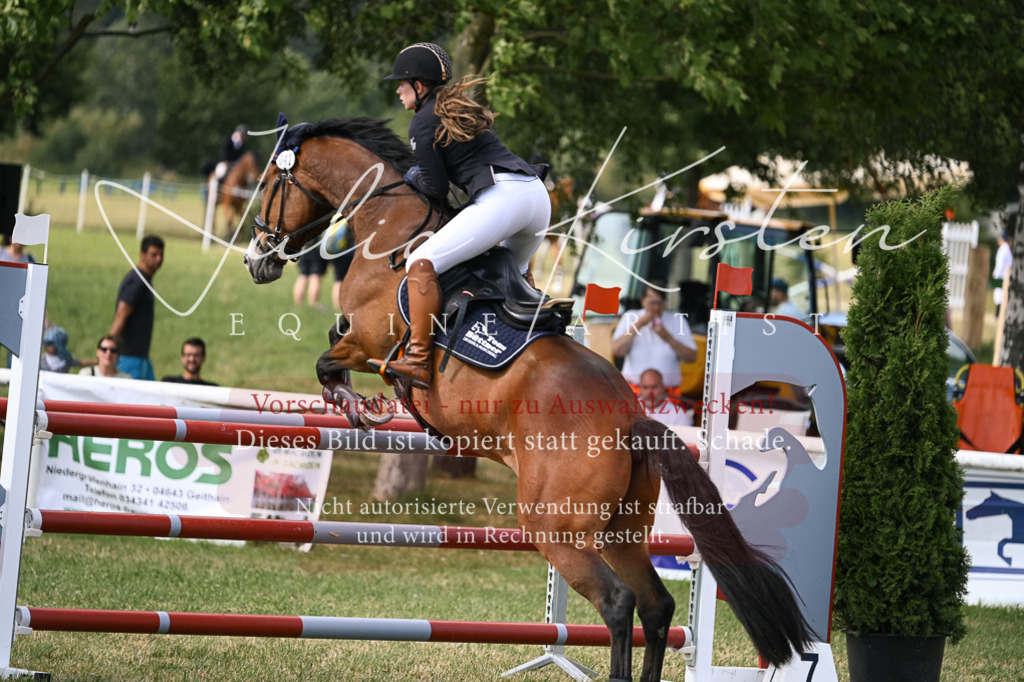 DSC_0913 | Pferde- und Turnierfotografie in Westsachsen. Pferdeportraits, Auftragszeichnungen und intuitive Kunst.