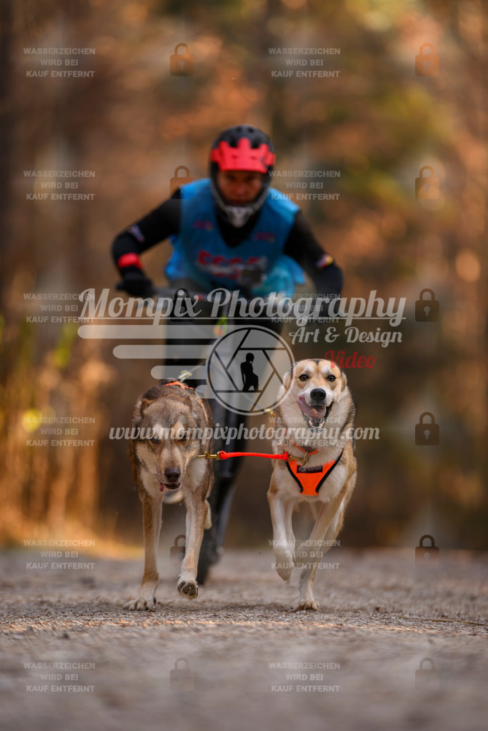 MompixPhotography_DM_AKDM_SO_2025_Scooter-55 | PayLife