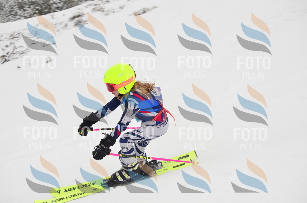 C1312 | holidayphoto