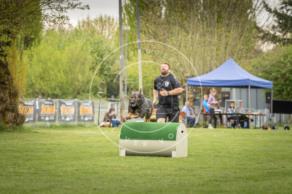 Pfotenfotografie_DV3A1296 | Hundefotografie, Tierfotograf, Pfotenfotografie, Fotoshooting Hund, Hunde Portrait, Hundesport, Hundeportraits, Heideshooting, Hunde, Sportfotograf, Hundefotograf, Turnierhundsport, THS,  - Realisiert mit Pictrs.com