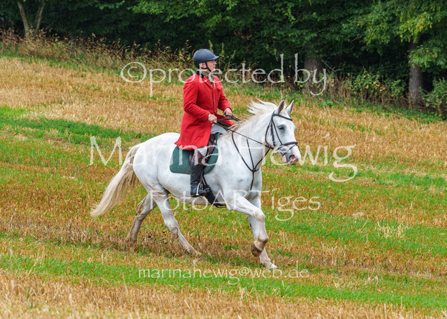 Jagd Kletkamp 26-02844_MarinaHewig | Fotografie, FotoArt, PferdesportArt, Pferdesportfotografie, Landschaftsfotografie, Reisefotografie, Reise, Pferde - Realisiert mit Pictrs.com