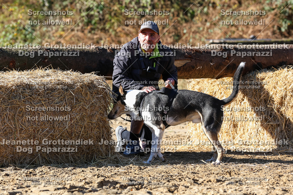 Dog Paparazzi - Strongdog 10-25-2574 | Dog Paparazzi Jeanette Grottendiek Fotografie & Videografie - Realisiert mit Pictrs.com