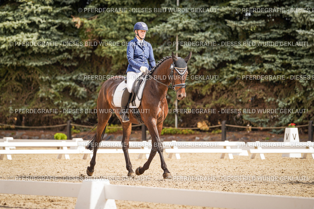 DSC01384 | Pferdegrafie