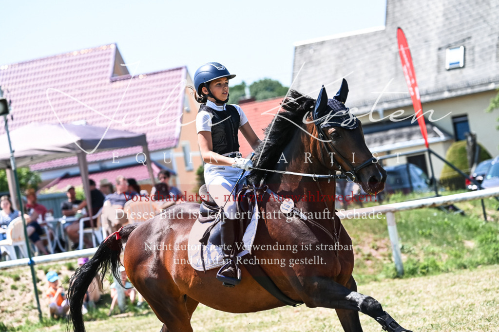 DSC_0527 | Pferde- und Turnierfotografie in Westsachsen. Pferdeportraits, Auftragszeichnungen und intuitive Kunst.