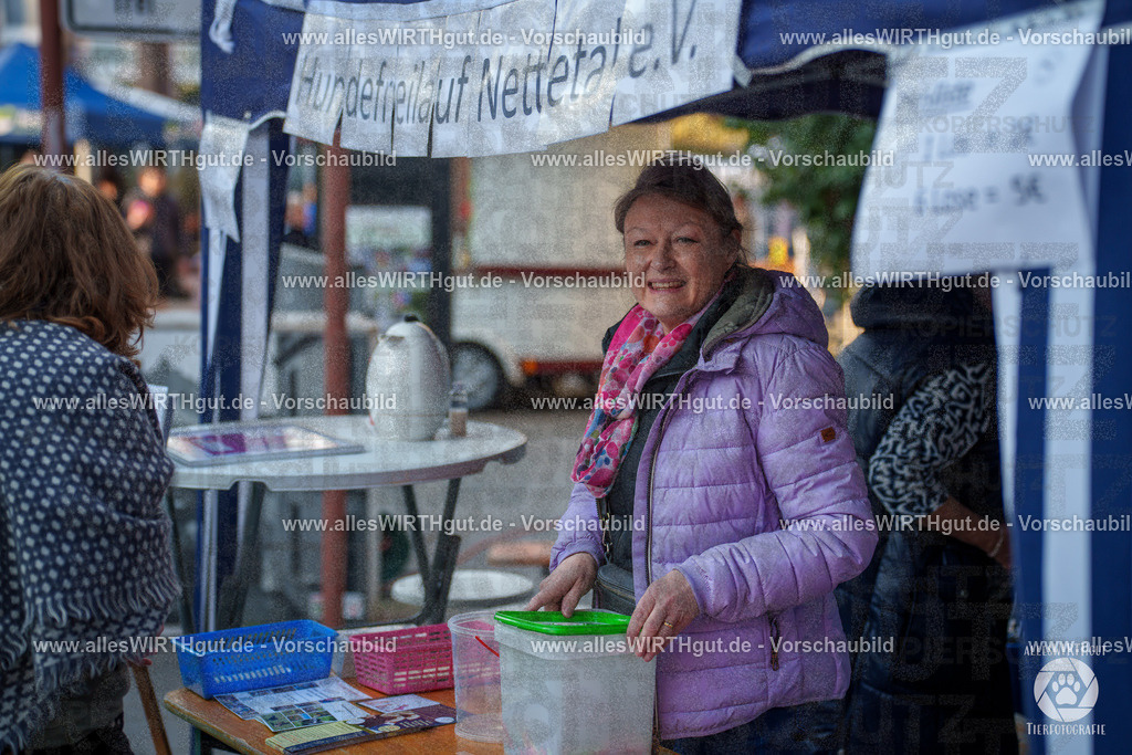 Pfötchenmarkt Nettetal-Lobberich 2026 - Nettetal-Tag - Daniel Wirth - www.allesWIRTHgut.de - @allesWIRTHgut_Tierfotografie 7R508580 | Professionelle Tierfotografie in Mönchengladbach von Daniel Wirth (allesWIRTHgut). Liebevolle & natürliche Bilder von Hunden & Katzen für unvergessliche Erinnerungen.