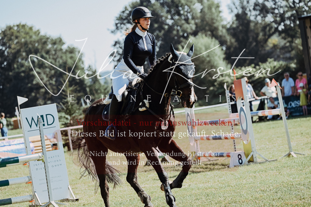 DSC_5758 | Pferde- und Turnierfotografie in Westsachsen. Pferdeportraits, Auftragszeichnungen und intuitive Kunst.