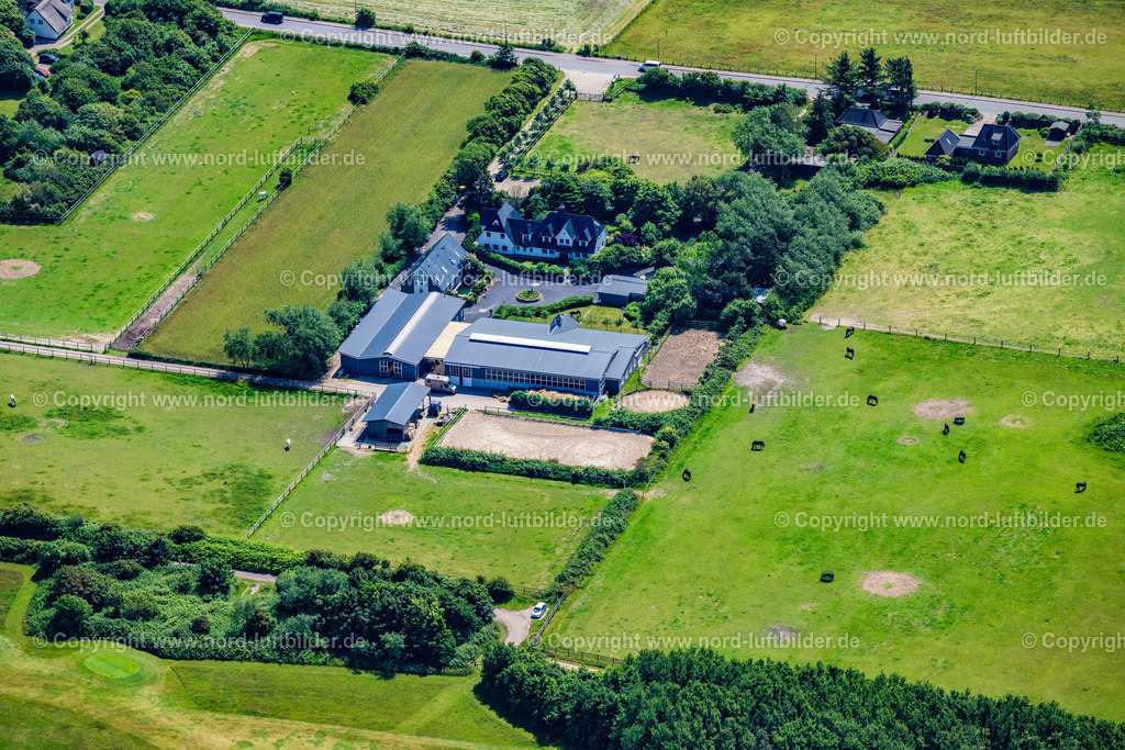 Sylt_Wenningstedtbraderup_Petersen_Stephanie_Tierärztin_Gestüt_Sölring_ELS_4951210625 | WENNINGSTEDT-BRADERUP (SYLT) 13.06.2025 Gebäude des Reitstall und Reiterhof " Sölring " an der Straße Terp Wai in Wenningstedt-Braderup (Sylt) auf der Insel Sylt im Bundesland Schleswig-Holstein, Deutschland. // Building of stables " Soelring " on street Terp Wai in Wenningstedt-Braderup (Sylt) on the island of Sylt in the state Schleswig-Holstein, Germany. Foto: Martin Elsen