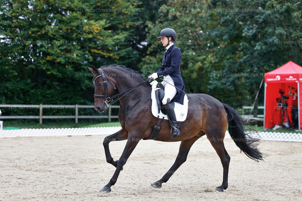 8_1-087-Klasse S_  -StoibPH-3837 | working equitationturnier fotograf videograf stoibphotography marixx film working equitation deutschland reitsport turnierfotografie eventfotografie equestrian events