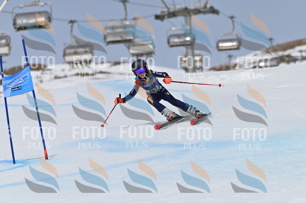 BGV_4894 | holidayphoto