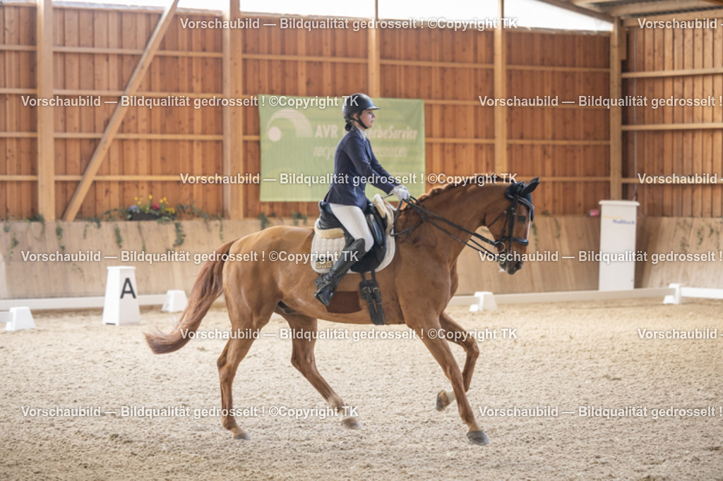 _D5A5808 | Emotionale Pferde- & People-Fotografie rund um Heidelberg, Leimen & Umgebung. Natürliche Fotos von Pferd, Mensch & Familie. Jetzt Termin sichern!