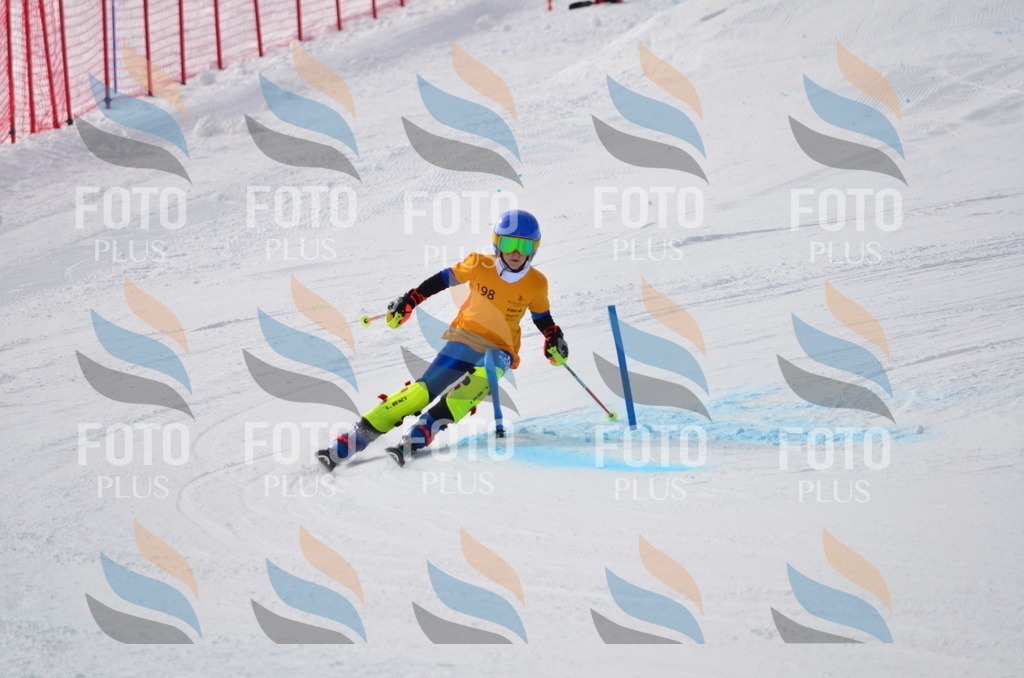 C8097 | holidayphoto