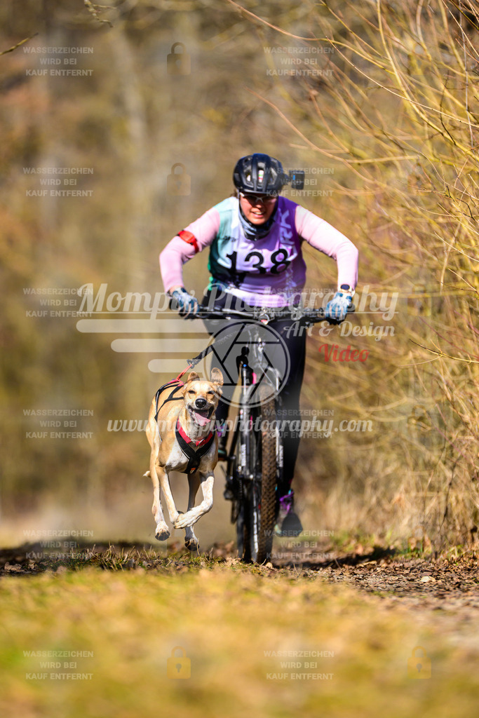 MompixPhotography_Schwabentrail2025_SO_Bike-118 | PayLife