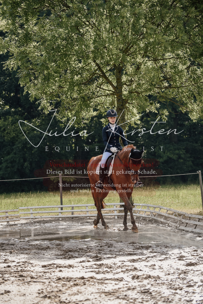 DSC_8867 | Pferde- und Turnierfotografie in Westsachsen. Pferdeportraits, Auftragszeichnungen und intuitive Kunst.