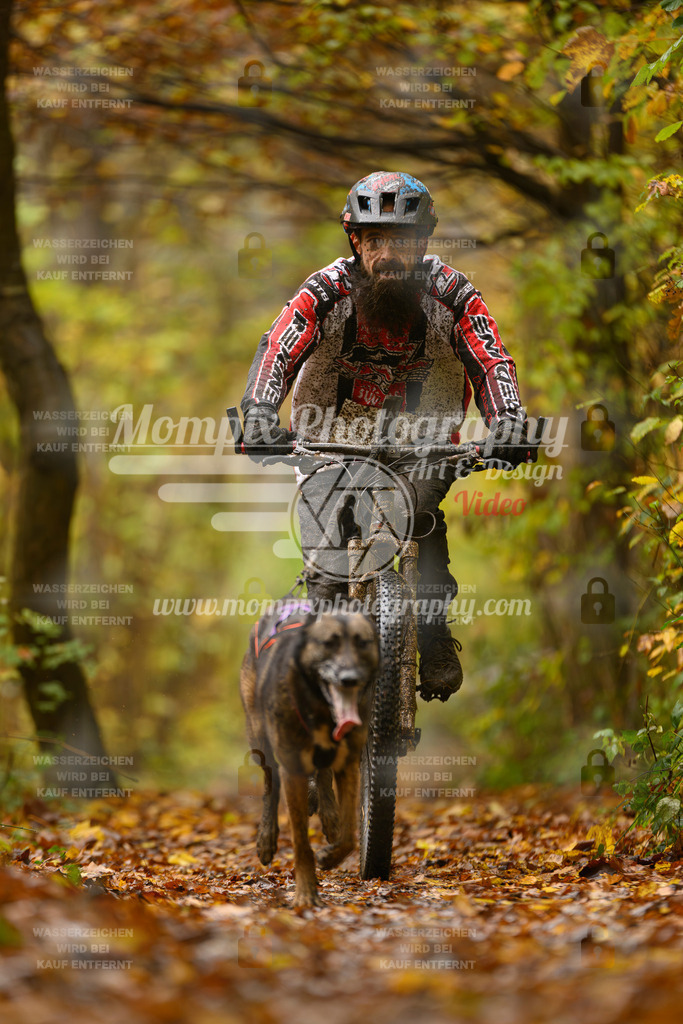 MompixPhotography_CD7S_DI_Bike-39 | mompixphotography