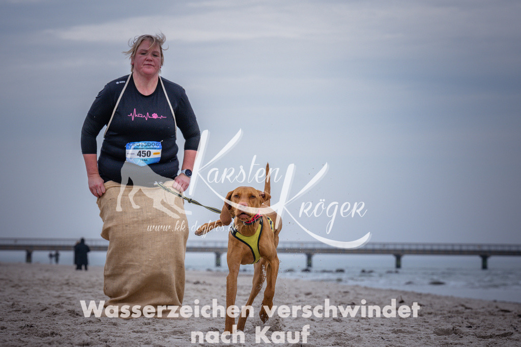 1214_ZZ92895 | kk-dogfotos