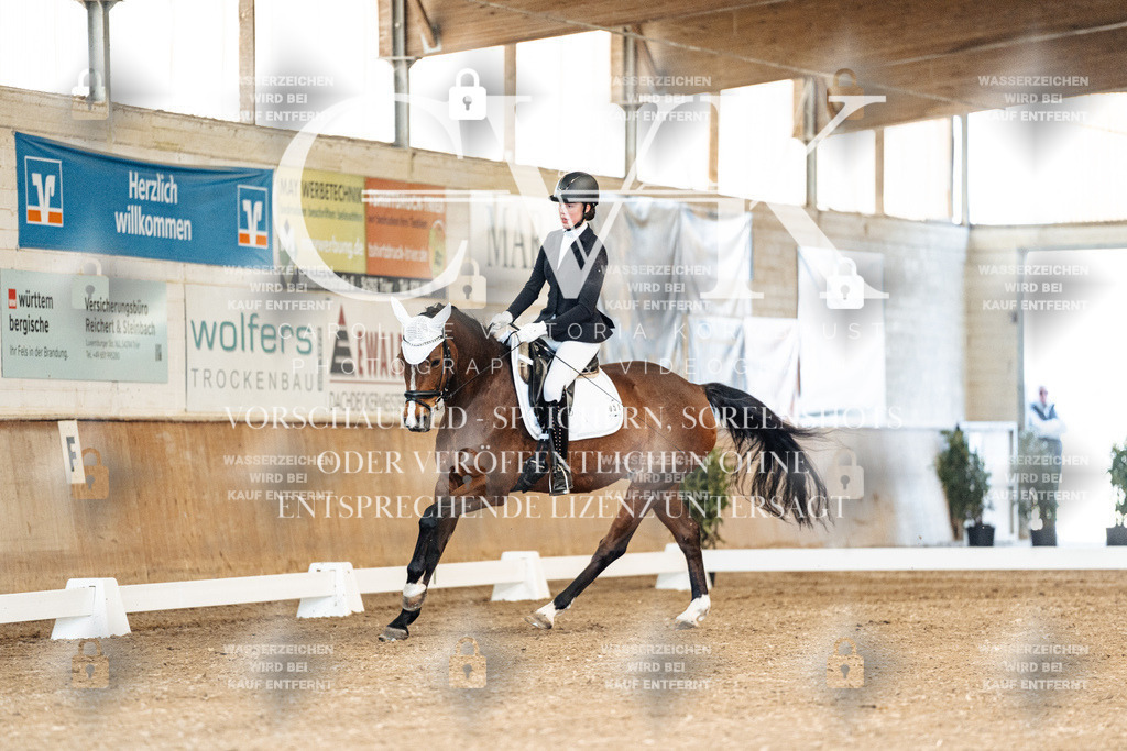 CK900691 | Turnierfotografie Pferdefotografie Trier Rheinland-Pfalz Pferdesport Reitsport Tierfotografie Sportfotografie Pferdevideo Pferdevideografie Equestrianvideography equestrianphotography  - Realisiert mit Pictrs.com