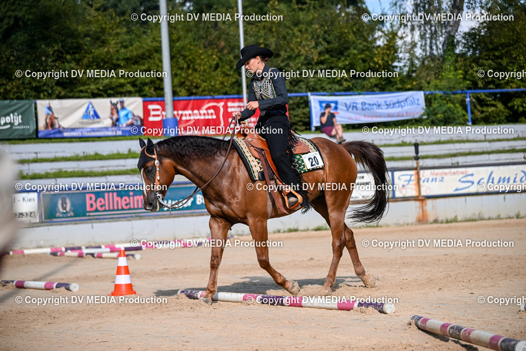 ZS2_3443 | dv-media-shop - Realisiert mit Pictrs.com