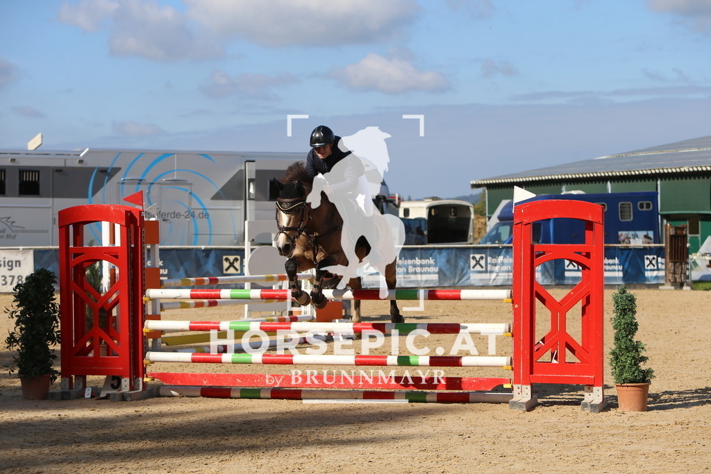 DL2Q5215 | Willkommen bei Brunnmayr - Design & Fotografie – Ihrem Spezialisten für Reitturniere und Pferdeveranstaltungen in Oberösterreich, Salzburg und Bayern! Seit über 17 Jahren sind wir leidenschaftlich dabei.