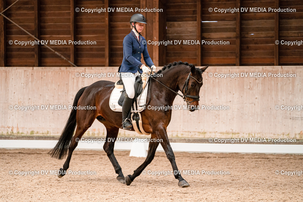 Dressur Tag 1 -092 | dv-media-shop - Realisiert mit Pictrs.com