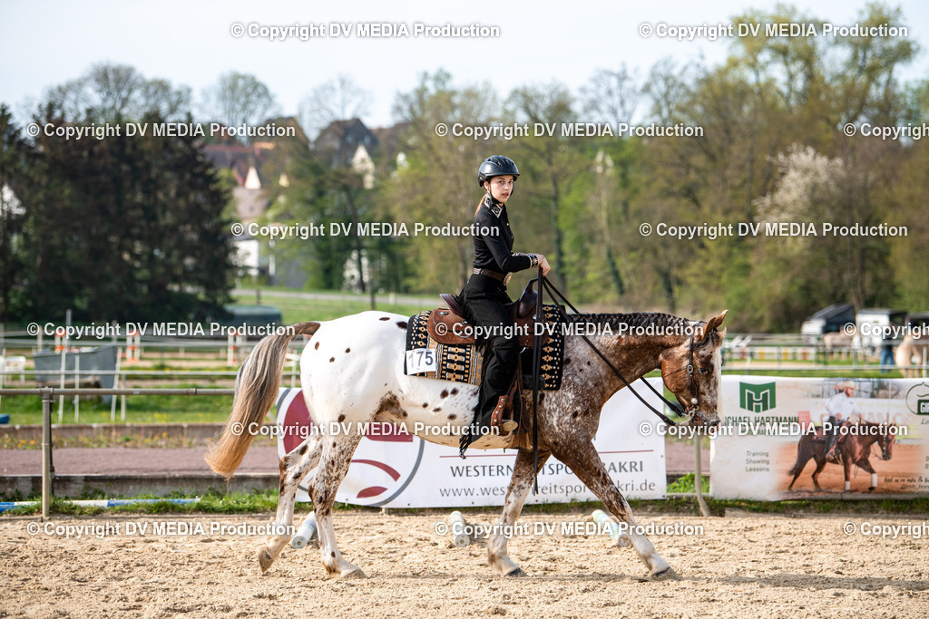 Heiligenwald Tag 2-80 | dv-media-shop - Realisiert mit Pictrs.com