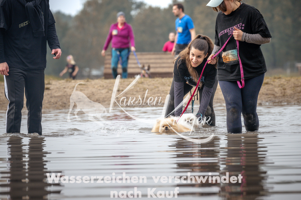 1113_ZZ93205 | kk-dogfotos