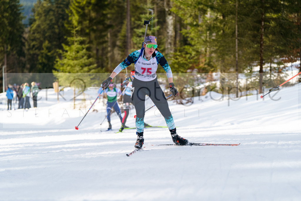 FESA Alpencup / DP Notschrei | Deutschland Pokal Finale im Schwarzwald NORDIC-CENTER Notschrei am 7. - 8. Februar 2026