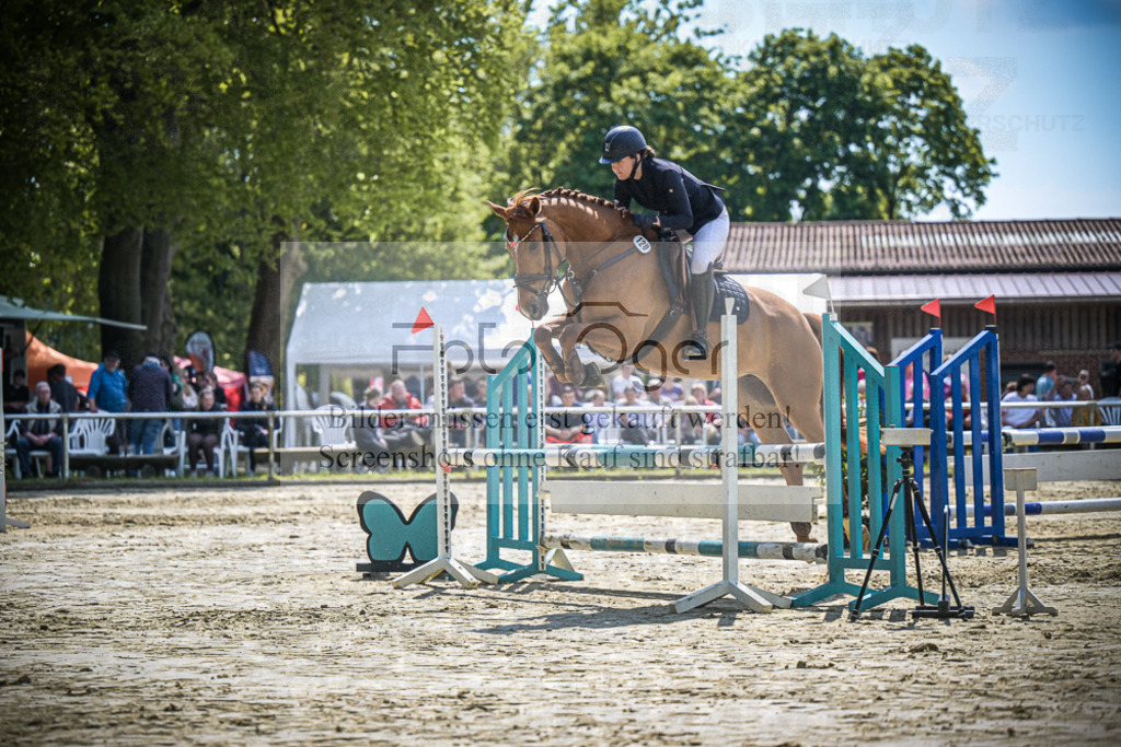 DOS_9532 | Entdecke hochwertige Reitturnierfotos von Foto Oger. Professionell, emotional und authentisch – jetzt Lieblingsmomente im Shop bestellen.Deutschlandweite Turnierfotografie. - Realisiert mit Pictrs.com