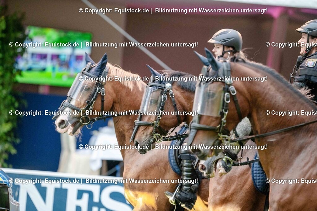 20250606_Lange-Pferdenacht_0830 | Foto: Thomas Hartig