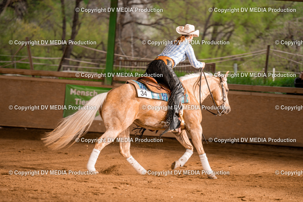 BA301254 | dv-media-shop - Realisiert mit Pictrs.com