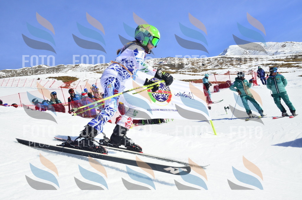 _ELE0148 | holidayphoto