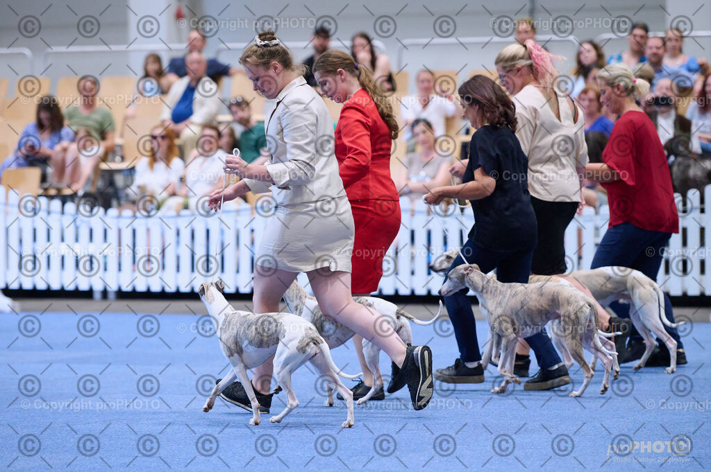 202406_ÖKV-IHA-Tulln24_DSC_3776 | proPHOTO - Realisiert mit Pictrs.com