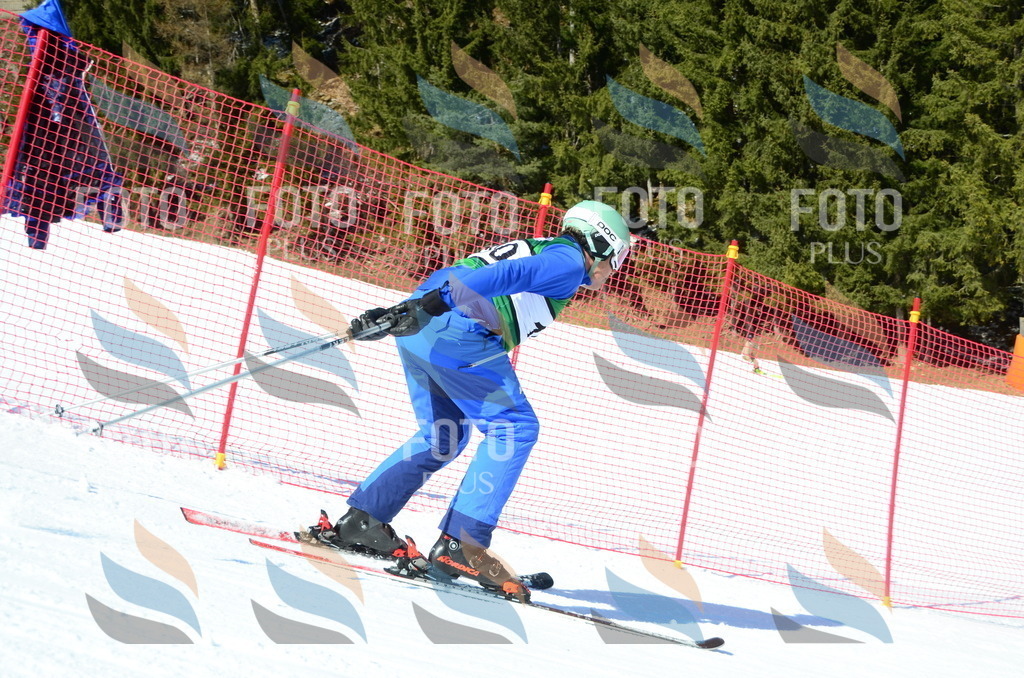 C6506 | holidayphoto