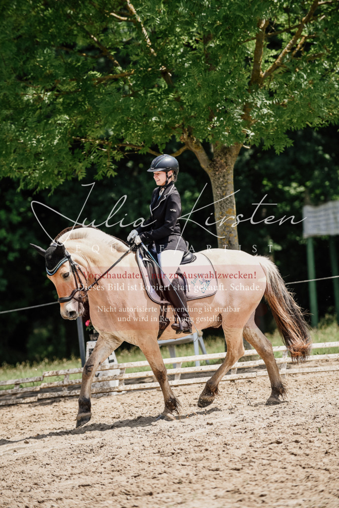DSC_1671 | Pferde- und Turnierfotografie in Westsachsen. Pferdeportraits, Auftragszeichnungen und intuitive Kunst.